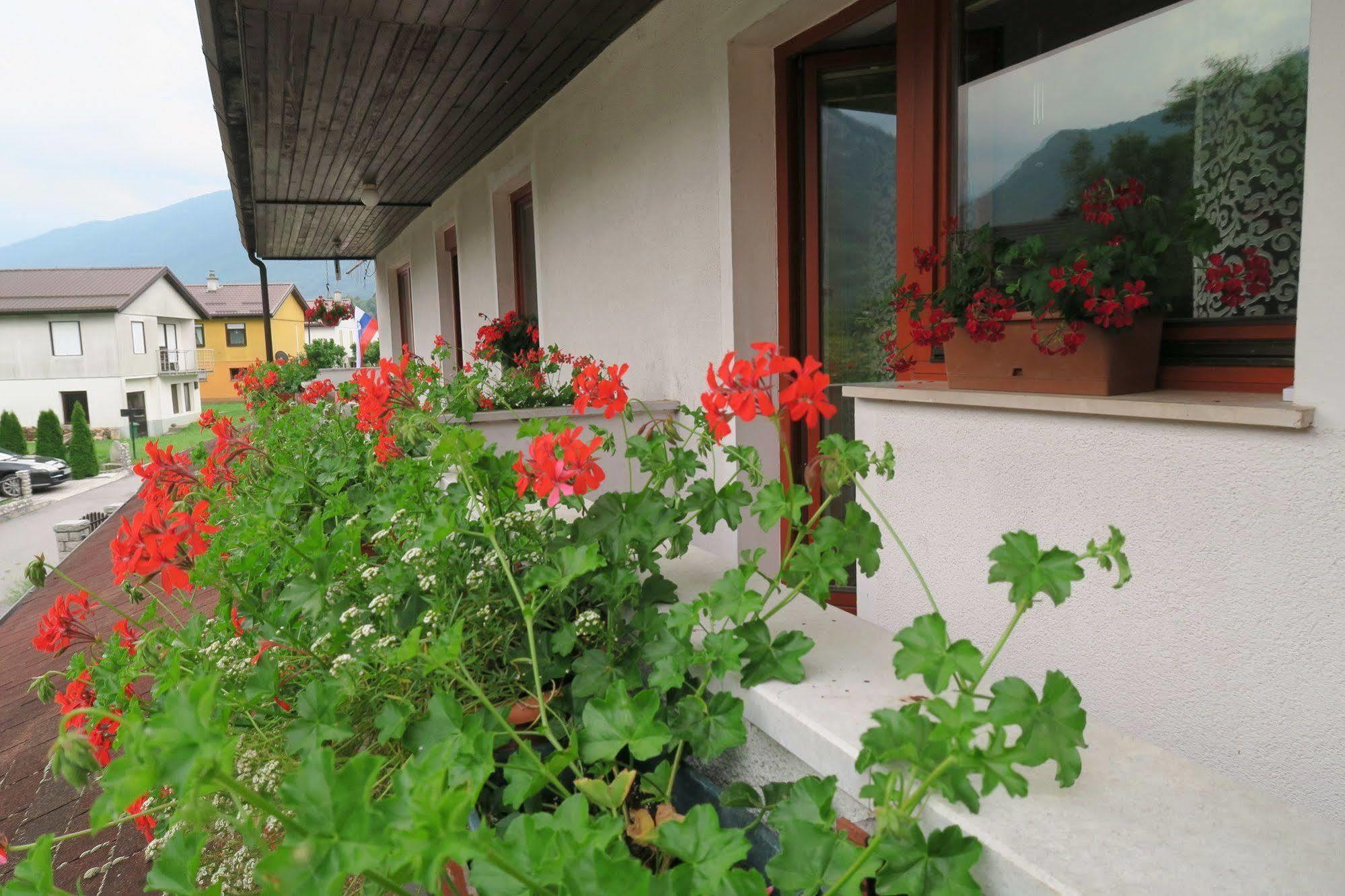 Budget Homestay Kobarid Exterior foto